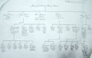 A Page from the Bankes Pedigree Book