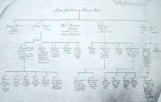 A Page from the Bankes Pedigree Book