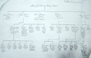 A Page from the Bankes Pedigree Book A Page from the Bankes Pedigree Book